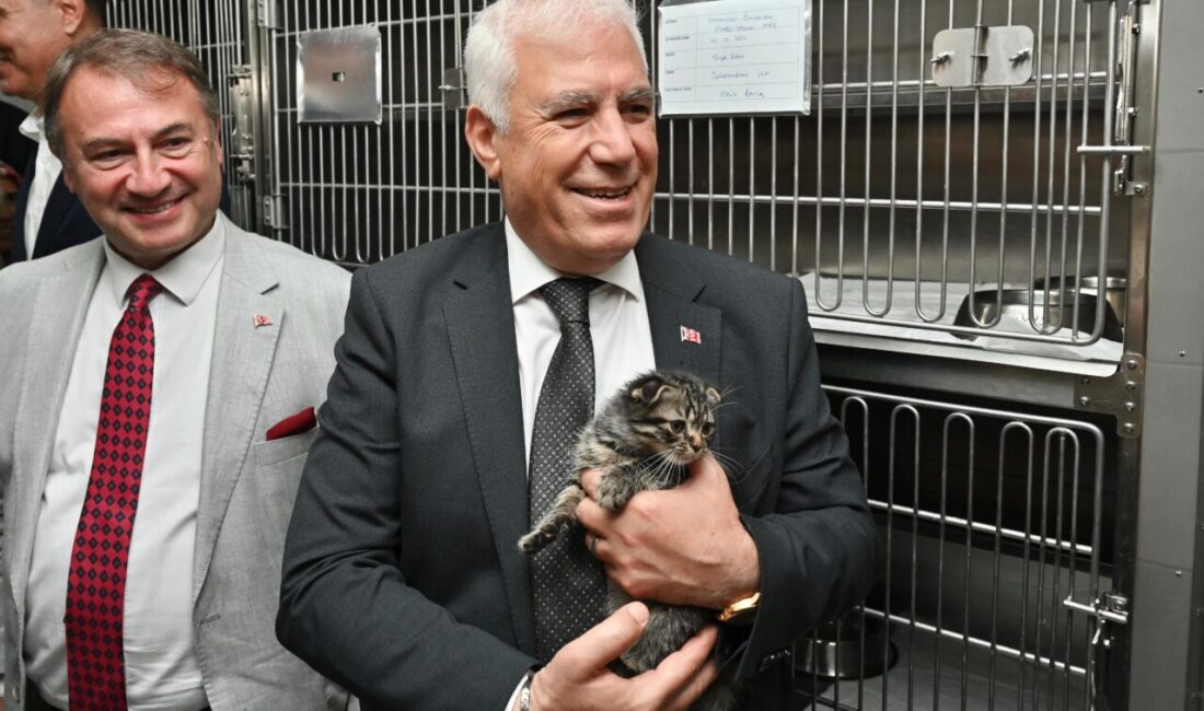 Sosyal Hizmetler Dairesi Başkanlığı aracılığıyla, ihtiyaç sahibi vatandaşlara destek çekleri