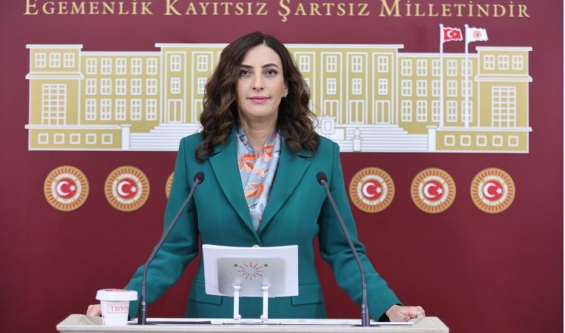 DEVA Partisi Genel Başkan Yardımcısı ve İstanbul Milletvekili Evrim Rızvanoğlu,