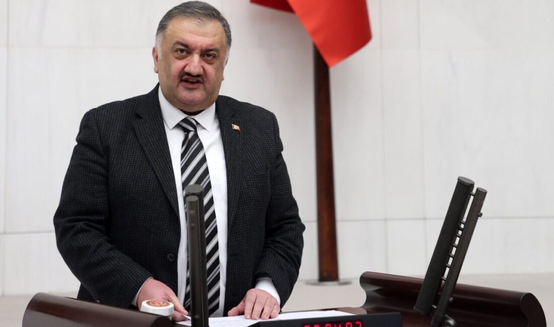 DEVA Partili Hasan Karal, Türkiye Büyük Millet Meclisi (TBMM) Genel