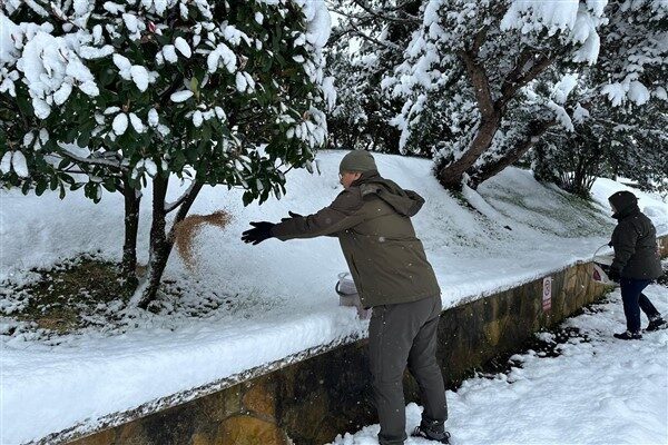 Giresun’da etkili olan kar yağışı nedeniyle Doğa Koruma ve Milli