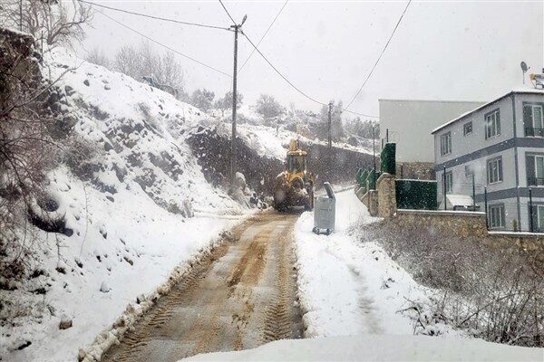 Ulaşım ekipleri, yolların açık tutulması amacıyla 7/24 hizmet veriyor. Veteriner