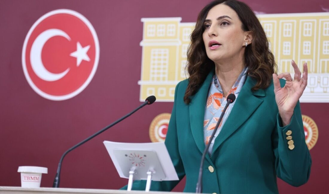 DEVA Partisi Genel Başkan Yardımcısı ve İstanbul Milletvekili Evrim Rızvanoğlu,