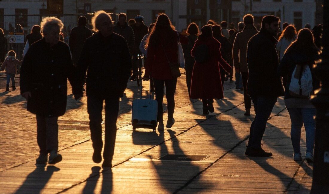 Türkiye'de ikamet eden nüfus, 31 Aralık 2024 tarihi itibarıyla bir