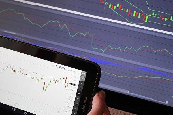 BMD’nin raporuna göre, 2024 yılı karından temettü dağıtımına dair Yönetim