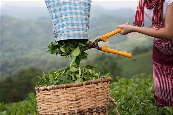 Kamuyu Aydınlatma Platformuna (KAP) yapılan açıklamada, ''14.03.2025 tarihinde yurt içinde