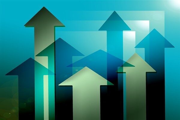 Kamuyu Aydınlatma Platformuna (KAP) yapılan açıklamada, ''28.03.2025 tarihinde Verusa Holding