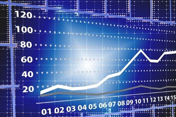 Kamuyu Aydınlatma Platformuna (KAP) yapılan açıklamada, ''Şirketimizin 01.01.2024-31.12.2024 faaliyet döneminde
