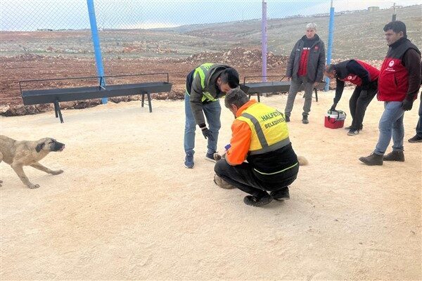 Vali Şıldak yaptığı değerlendirmede ilk uygulamayı başlatan ve geçici bakımevini