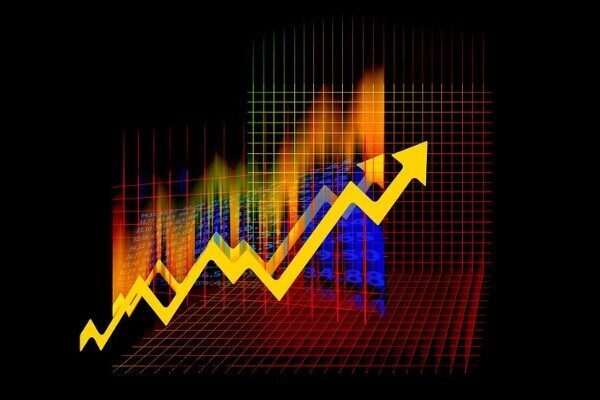 Kamuyu Aydınlatma Platformuna (KAP) yapılan açıklamada, ''29.05.2025 tarihinde 310.000 adet