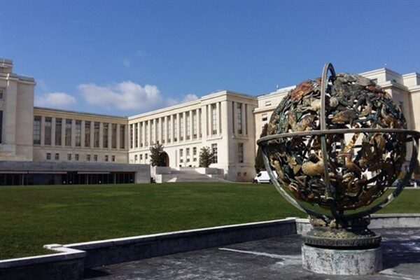 BM'nin 2024 yılı verilerine göre, sadece bu yıl içerisinde 15