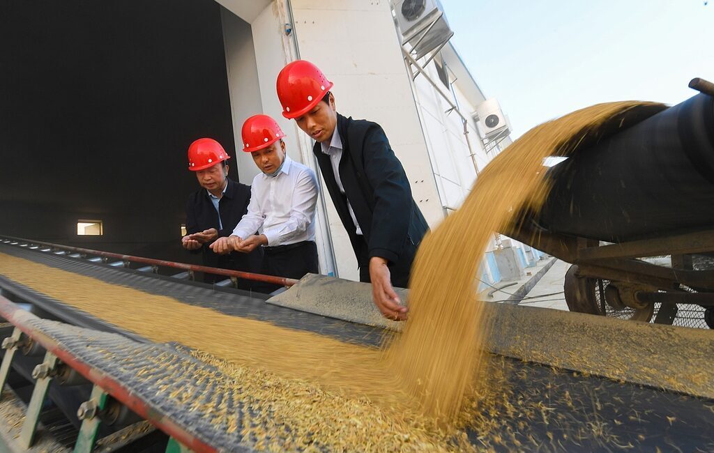 2024 yılı sonbahar tahıl satın alma hacminin 345 milyon tona