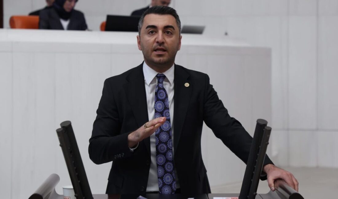 Avşar, toplumda kadının güçlenmesi ve statü kazanmasının; kadın erkek eşitliği,