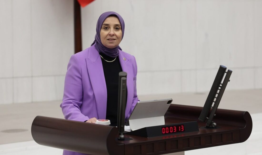 DEVA Partisi Genel Başkan Yardımcısı ve İstanbul Milletvekili Elif Esen,