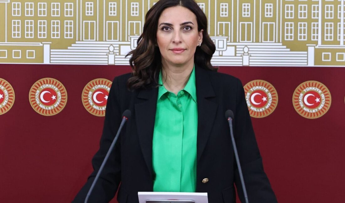 DEVA Partisi Genel Başkan Yardımcısı ve İstanbul Milletvekili Evrim Rızvanoğlu,