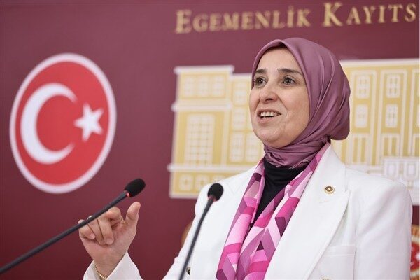 Çocuk Hareketi, TBMM’de önemli bir eşik atladı. Çocuk Hareketi destekçisi