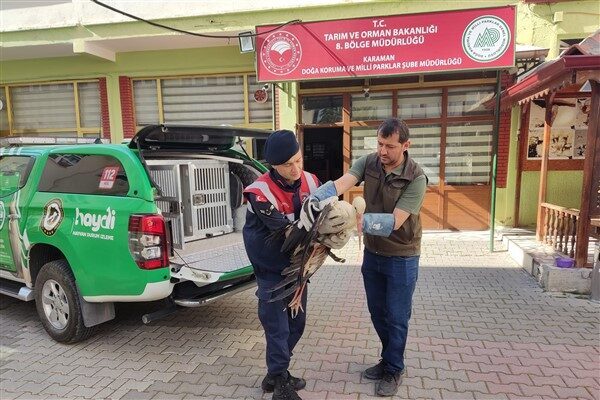 Karaman İl Jandarma Komutanlığı Asayiş Şube Müdürlüğü Çevre, Doğa ve