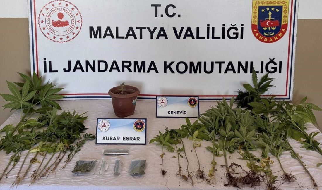 Malatya Valiliği tarafından yapılan açıklamaya göre, yapılan aramalarda şüphelilere ait