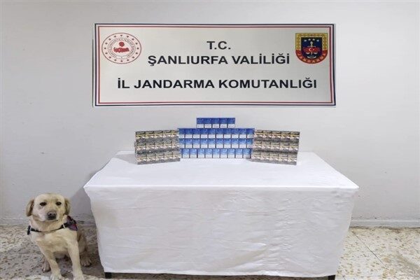 Şanlıurfa İl Jandarma Komutanlığı tarafından tütün ve alkol kaçakçılarına yönelik