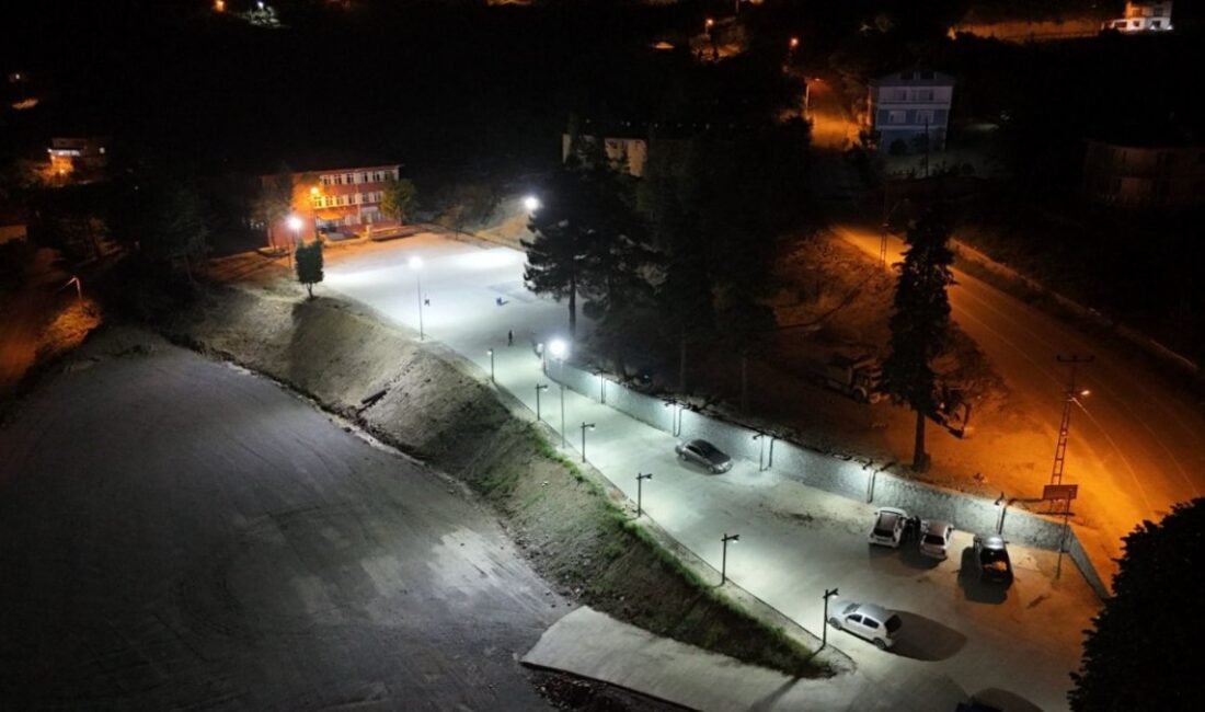 Ordu Büyükşehir Belediyesi’nin yürüttüğü aydınlatma çalışmaları aralıksız devam ediyor. İlçe