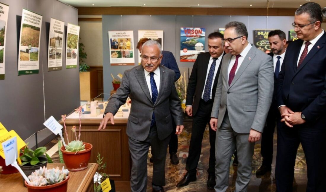 Tarım ve Orman Bakan Yardımcısı Prof. Dr. Ahmet Gümen Ordu