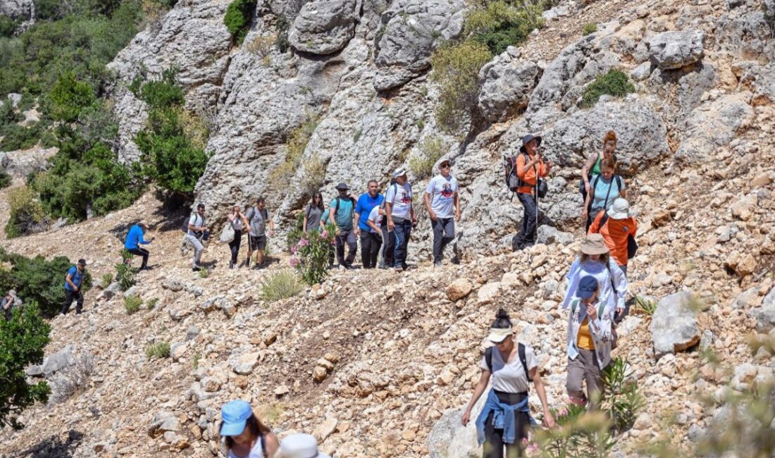 Yeni Rota: Tarihi Kilikya Yolu Oldu Mersin Büyükşehir Belediyesi tarafından, Mersin Valiliği, Kilikya Yolu Koruma ve