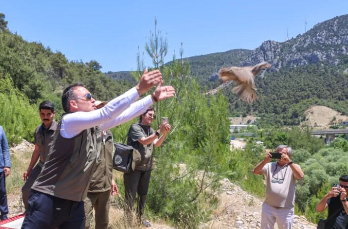 Doğal Yaşam İçin 300 Kınalı Keklik Bilecik’te Doğaya Salındı Bilecik’te, doğal yaşamın korunması ve biyolojik çeşitliliğin devamı için 300