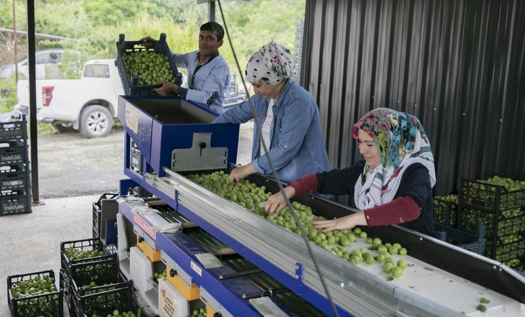 Büyükşehir’in Makine Desteğiyle Üretici Güçleniyor, Kırsal Kalkınıyor Mersin Büyükşehir Belediyesi, kırsal kalkınmayı desteklemek ve üreticilerin verimliliğini artırmak