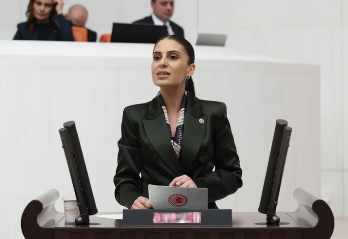 CHP Muğla Milletvekili Avukat Gizem Özcan, Çevre, Şehircilik ve İklim