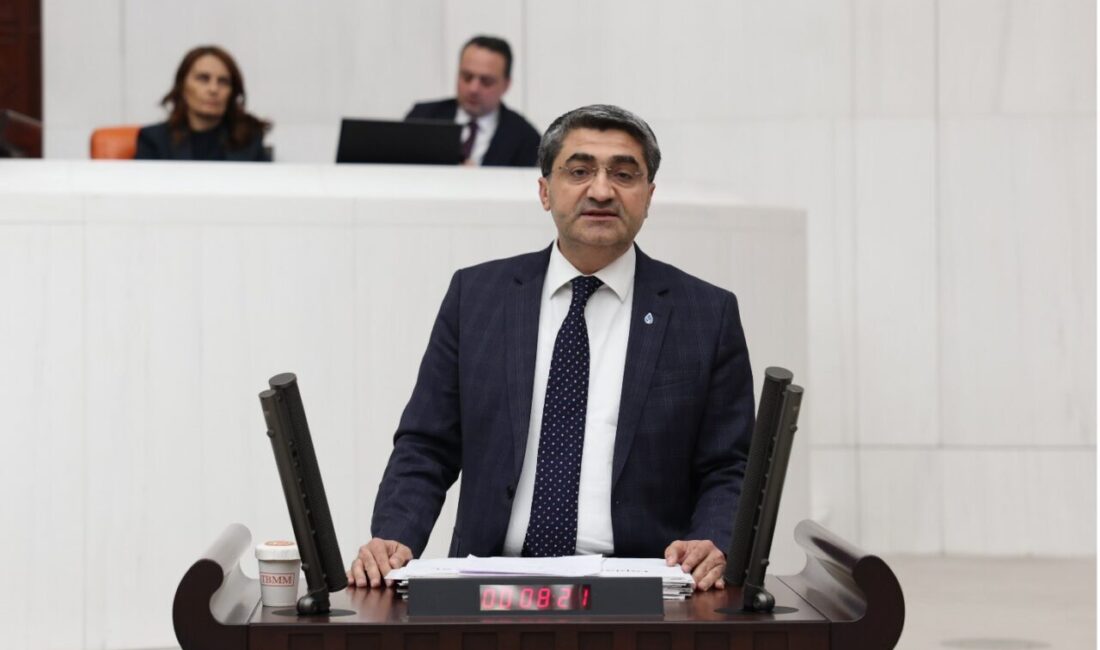 DEVA Partisi Genel Başkan Yardımcısı ve Mersin Milletvekili Mehmet Emin