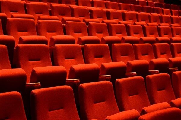 Edirne Valiliği, Türkiye İstatistik Kurumu (TÜİK) Sinema ve Gösteri İstatistikleri verilerine