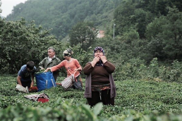 Kültür ve Turizm Bakanlığı'ndan yapılan açıklamaya göre, Yaşayan Miras ve