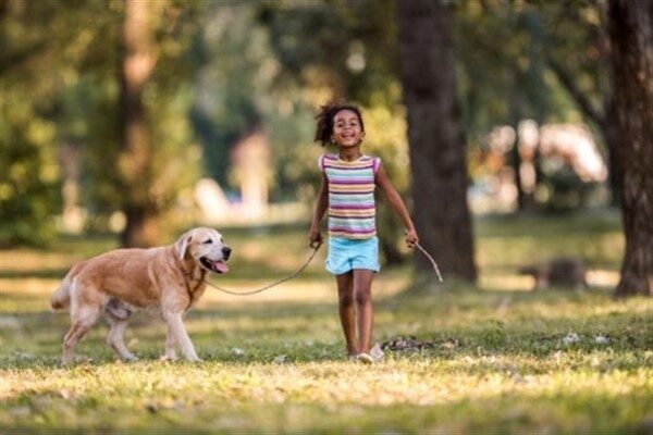 Başkent Tahran'da köpek gezdirmeyi yasaklayan 2019 polis emrini yansıtan yasak,