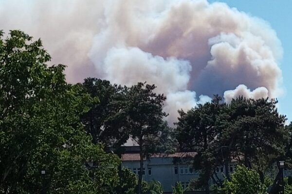 Orman Genel Müdürlüğü'nden yapılan açıklamaya göre, İzmir’in Foça ilçesi Yeniköy Mahallesi