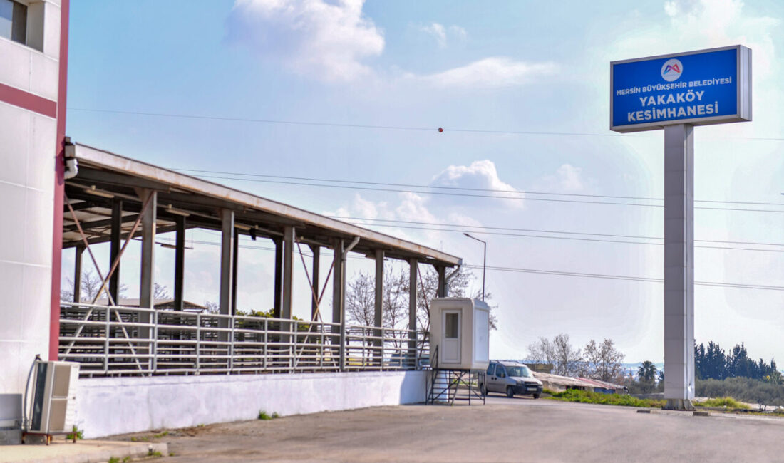 Alanında uzman ekipler ile kentin dört bir yanında mobil kesim