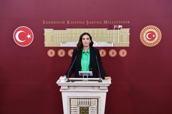Rızvanoğlu konuyu TBMM gündemine taşıyarak Çevre, Şehircilik ve İklim Değişikliği